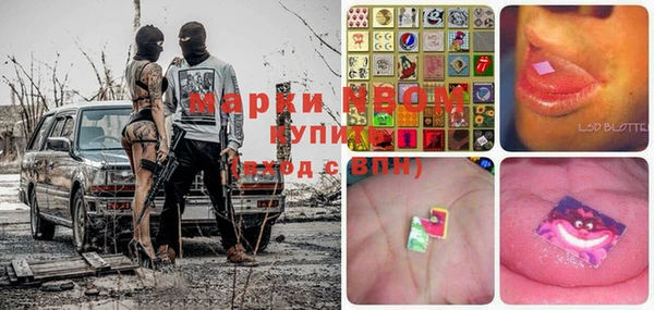 PSILOCYBIN Карталы