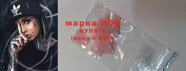 PSILOCYBIN Карталы
