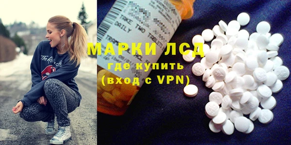 PSILOCYBIN Карталы