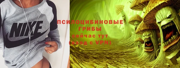 PSILOCYBIN Карталы