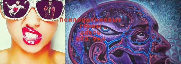 PSILOCYBIN Карталы