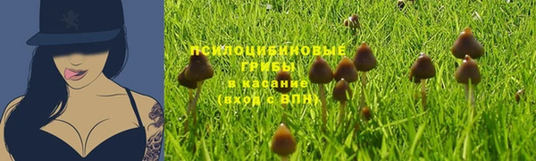 ALPHA-PVP Карпинск