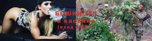 PSILOCYBIN Карталы